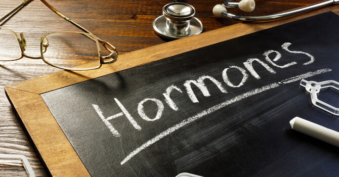 Natural Hormone Therapy